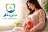 رشد جنین هفته به هفته؛ راهنمای جامع از تشکیل نطفه تا تولد